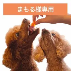 【まもる様専用】無添加 国産鶏の手ジャーキー300g