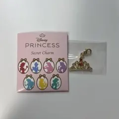 ディズニープリンセスチャーム・ファイル　ベル