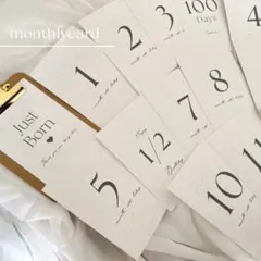 Item thumbnail for item 61247a64-2fdf-4e8a-95a2-0be7edcdf011