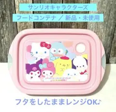 サンリオキャラクターズ フードコンテナ レンジOK 保存容器 スケーター 新品のサムネイル