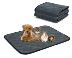 Item thumbnail for item 31477011-5bad-4b77-ba06-f3a2812d322a