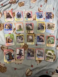 鳥羽水族館 鳥羽水 トレーディングカード 2 大量