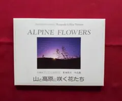 Item thumbnail for item c6ca3d20-eca9-4760-bdc5-fd2322df5d5d