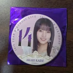 海邉朱莉 缶バッジ 会場限定 ランダム 14thバスラ 乃木坂46 - メルカリ