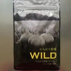 Item thumbnail for item 44ccd640-7266-4a87-8c3c-1e2b8f778382