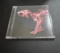 SUPER BEAVER グラデーション　初回生産限定盤 CD+BD