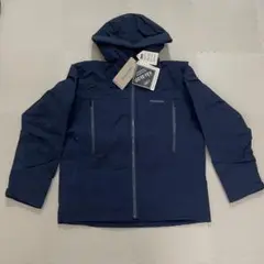 Item thumbnail for item 4c838b99-1c48-453b-a03a-ebd20d127f25