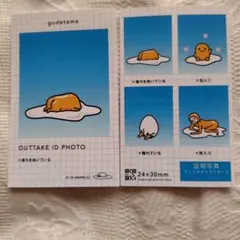 ぐでたま サンリオキャラクターズ　証明写真風スマロイド