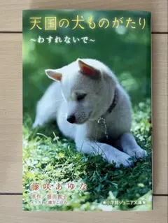 天国の犬ものがたり ～わすれないで～