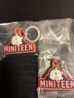 MINITEEN めじるしアクセサリーガチャ