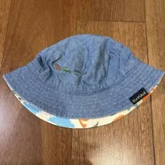 Item thumbnail for item 7cd1dc23-879a-496f-8b1a-5ecf31525c8e