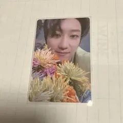 SEVENTEEN SECTOR17 トレカ THE8