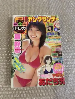 2026年最新】吹石一恵 ヤングサンデーの人気アイテム - メルカリ