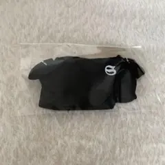 straykids スキズ dominATE アプグレグッズ ぬい服