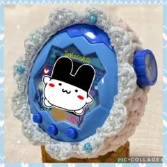 たまパラ カバー