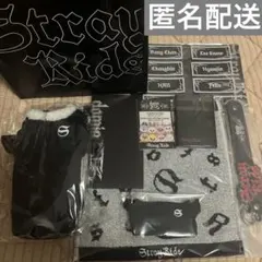 スキズ アプグレ グッズ 特典 Stray Kids dominATE