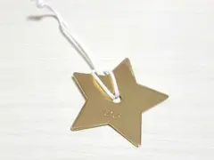 DIOR ディオール　星チャームのサムネイル