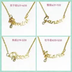 ♥️星座ネックレス