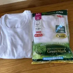 GUNZE GreenMark メンズ下着 LLサイズ 2枚組