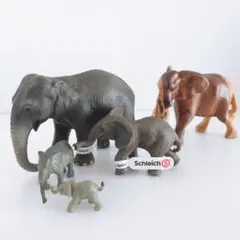 Elephant Figure Schleich ゾウ シュライヒ等5体セット
