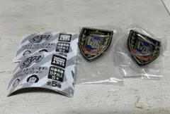 ぐるナイ ゴチになります！ガチャ アイテムコレクション 紋章2個セット