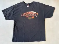 ハーレーダビッドソン ロンT 袖プリント ドクロ 2003年 メキシコ製 XL
