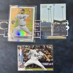 Item thumbnail for item b424c2ee-b2fb-451c-939e-9f0dc719831c