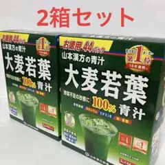 山本漢方製薬 大麦若葉100%青汁 2箱セット 合計88パック【2028.07】