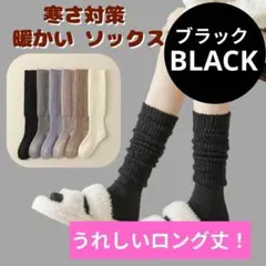 Item thumbnail for item ba04a236-fc97-493c-ab22-8ae948b0cd77