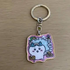 ハチワレ ご当地