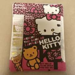 未使用　ハローキティ　うさみみキティ 2010年デザイン ミニレターセット 未使用 ハローキティ うさみみキティ 2010年デザイン ミニレター