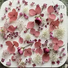 No,013 特小小花ミックス　ドライフラワー花材のサムネイル
