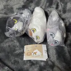 なつかない猫2 ガチャガチャ 3点セット