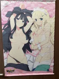 閃乱カグラ　斑鳩 ＆ 詠 描き下ろしB2タペストリー