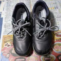 DUNLOP スニーカー 25.0 cm パープル