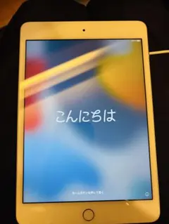 iPad mini4 【MK9J2J/A】Wi-Fi 64GB