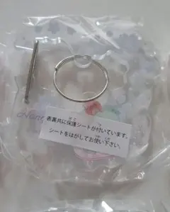 Item thumbnail for item 0c3fb797-7e5a-41d4-ad30-53bee0720d6d