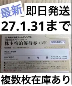 東急不動産 株主宿泊優待券 B券 東急ハーヴェスト 1枚