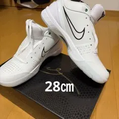 Nike Kobe 4 Protro Draft Pack "Celtics"のサムネイル