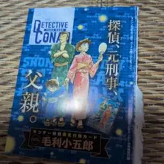 名探偵コナン　サンデー付録まとめ売り 少年サンデーS(スーパー) 2025年1月号 【付録カード】 名探偵