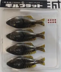 グリーンパンプキン　ギルフラット　イッセイ②のサムネイル