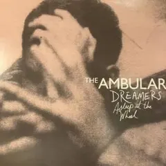 WEEZER系泣きメロ・オルタナ名作!★Ambulars / Dreamers〜