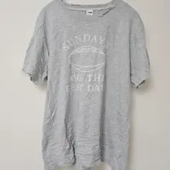 ピンク Tシャツ クルーネック 半袖 S 日本サイズL相当 グレー ゆったりのサムネイル