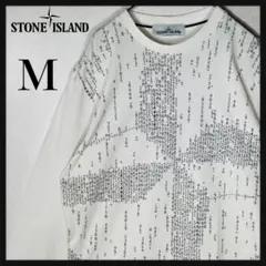 【希少デザイン 本物鑑定済み】ストーンアイランド デカロゴ ロンT 長袖 M 白