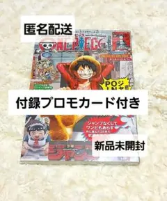 ONE PIECE magazine　ジャンプ　ワンピースマガジン　20　カード