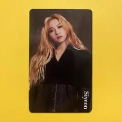 2026年最新】dreamcatcher シヨンの人気アイテム - メルカリ