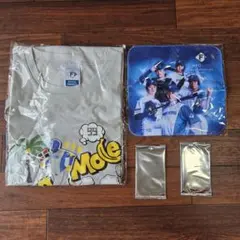 【未開封】日本ハムファイターズ 非売品4点セット