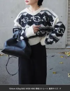 【美品】LAULEN ノルディック柄 Vネック ショート丈 ニット　短丈