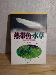 熱帯魚・水草 飼い方と育て方図鑑のサムネイル