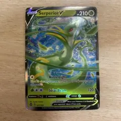 ゼラオラV SR ソード&シールド 拡張パック 漆黒のガイスト キラ 073